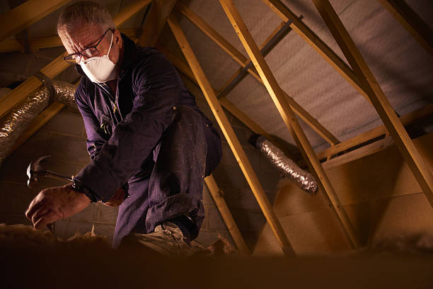 Best Home Insulation Services  in Hamilton, OH